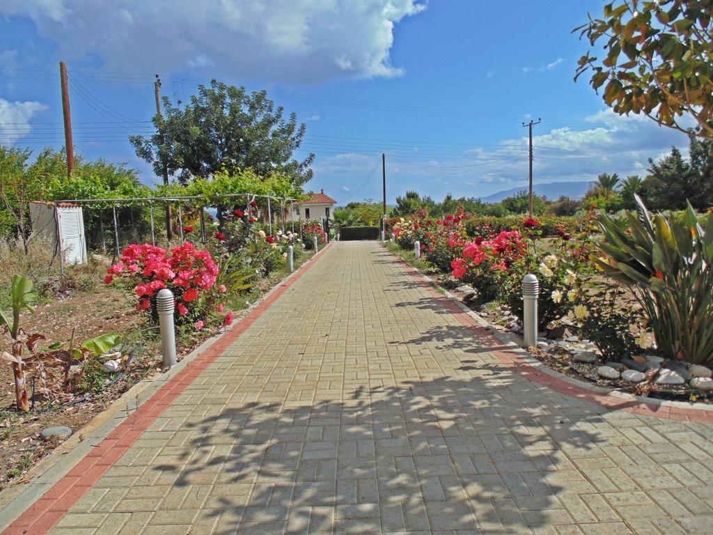 Eliofos Luxury Villa 폴리스 외부 사진