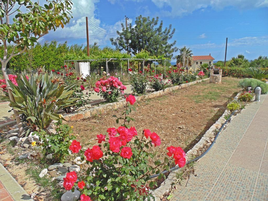 Eliofos Luxury Villa 폴리스 외부 사진