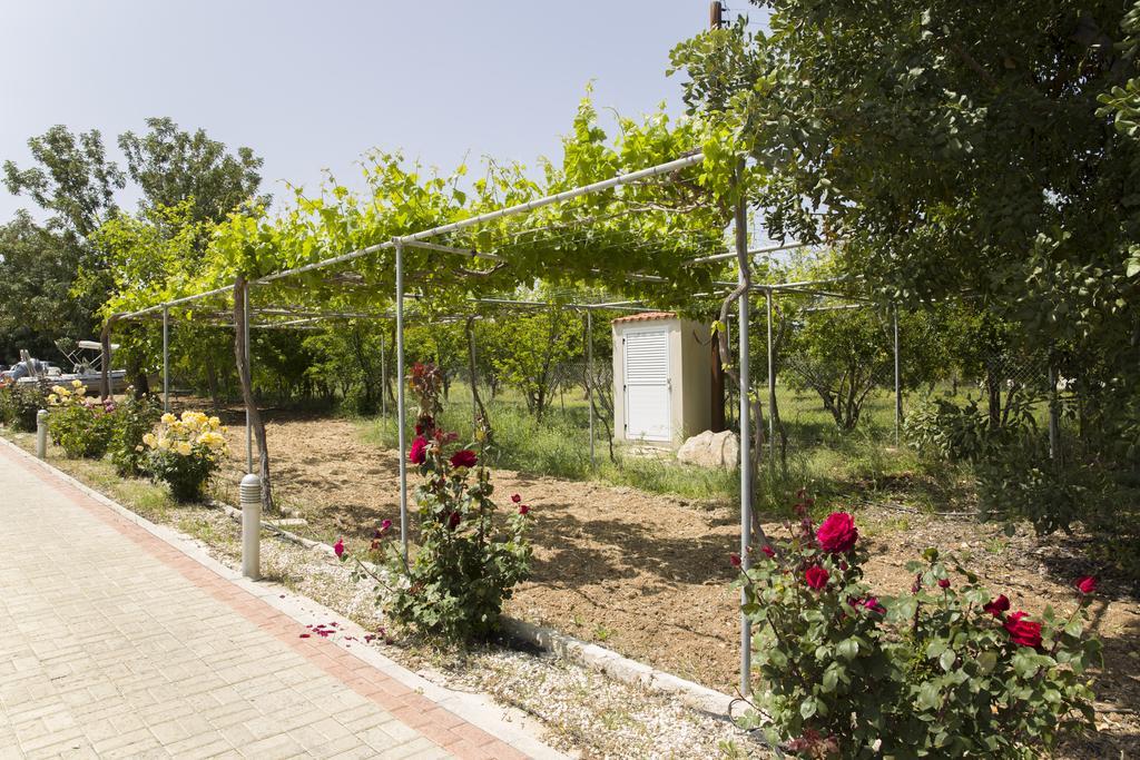 Eliofos Luxury Villa 폴리스 외부 사진
