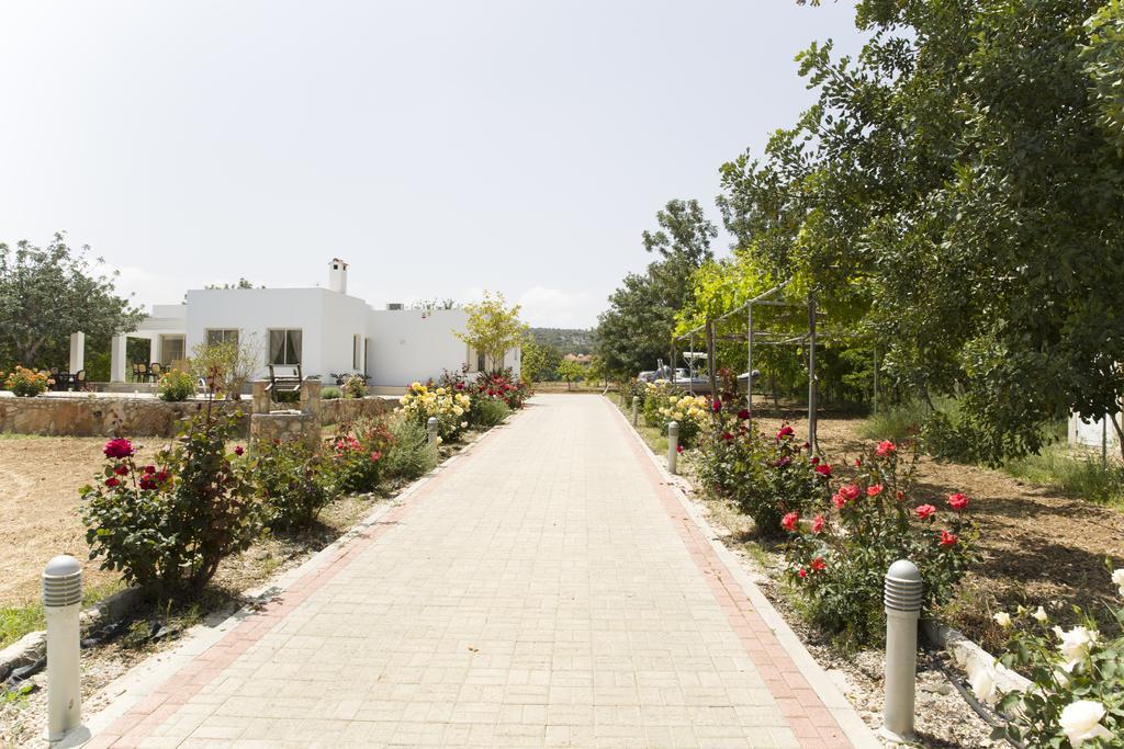 Eliofos Luxury Villa 폴리스 외부 사진